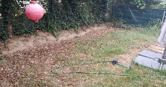 océane pet sitter à LABARTHE SUR LEZE 31860_3