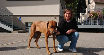 sandra pet sitter à STRASBOURG 67100_0