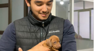 raphaël  dog sitter à TOULOUSE 31000_1