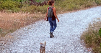 valerie pet sitter à HOURTIN 33990_2