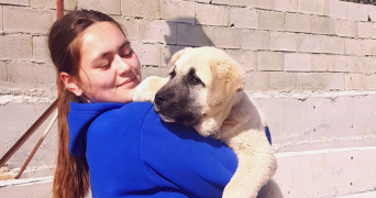 melissa pet sitter à BOURGOIN JALLIEU 38300_2
