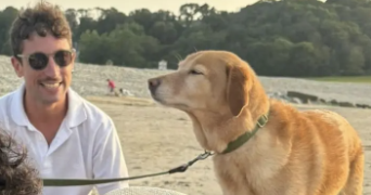 maxence pet sitter à POISSY 78300_1