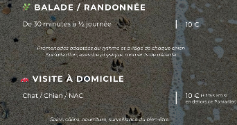 laurie pet sitter à PONTARLIER 25300_9