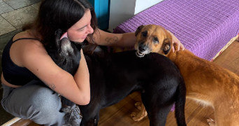 clara pet sitter à PARIS 13 75013_3