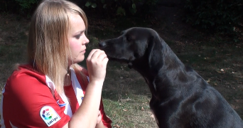 anna dog sitter à MONTPELLIER 34000_2