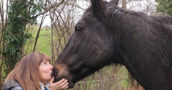 mary pet sitter à ST JUST ST RAMBERT 42170_2