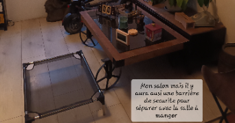 stéphanie pet sitter à DEULEMONT 59890_2