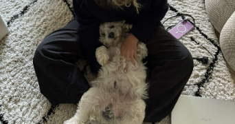 eugenie pet sitter à ST AUBIN DE MEDOC 33160_3