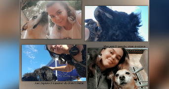 lola pet sitter à LE PRADET 83220_1