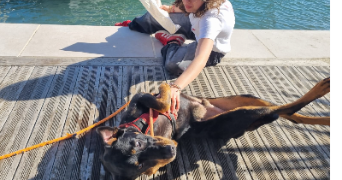 coline pet sitter à HYERES 83400_2