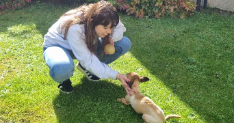 andrea pet sitter à MITRY MORY 77290_8