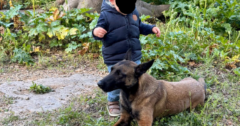 christopher pet sitter à CHATELLERAULT 86100_2