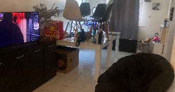 eva pet sitter à VOUTRE 53600_1