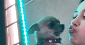 satine pet sitter à Montpellier 34000_2