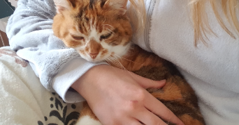 margaux pet sitter à LE BIGNON 44140_2