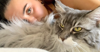 anais pet sitter à NOISY LE ROI 78590_4