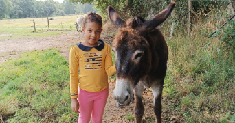 alice pet sitter à CHATEAU GONTIER SUR MAYENNE 53200_5