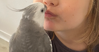 coralie pet sitter à RIMBACH PRES GUEBWILLER 68500_2