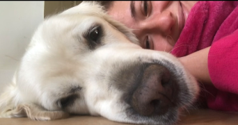 valentine pet sitter à ASNIERES SUR SEINE 92600_0