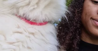 mauranne dog sitter à DREUX 28100