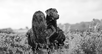 léna pet sitter à BONNAT 23220_0