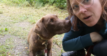 valentine pet sitter à HERBIGNAC 44410_3