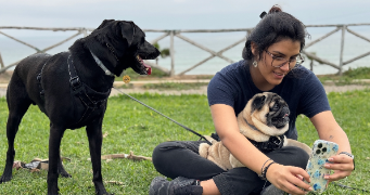 miura pet sitter à ST JACQUES DE LA LANDE 35136_2
