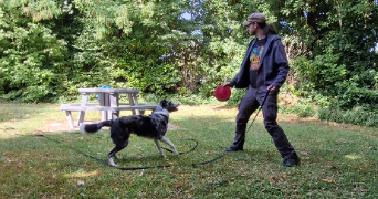 nolan pet sitter à WITRY LES REIMS 51420_3