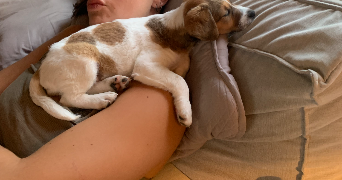 louise pet sitter à ST MARCEL BEL ACCUEIL 38080_3