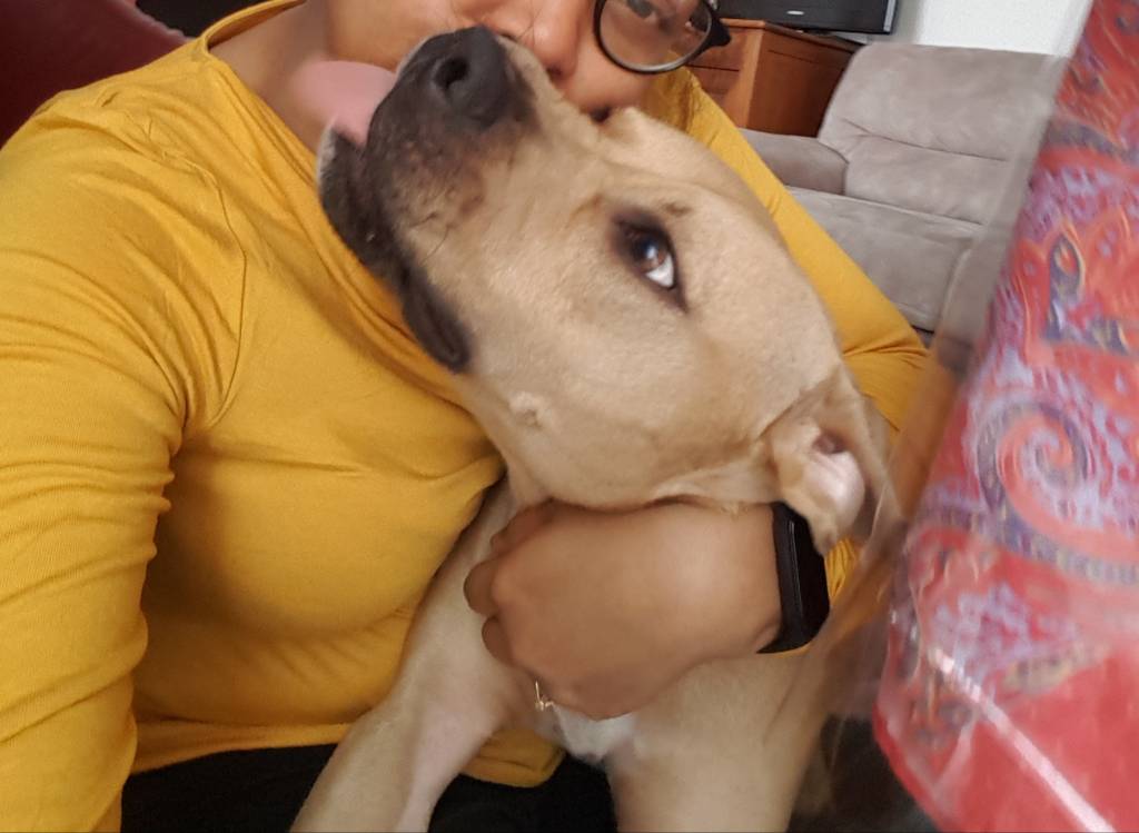 Randi dog sitter à Marcoussis 91460_0
