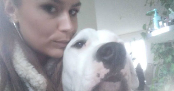harmony pet sitter à ARGENTEUIL 95100_3