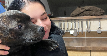 lisa pet sitter à Bourg la reine 92340_6