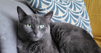 carolane pet sitter à VALENCE 26000_1