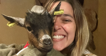 noemie pet sitter à ENTRE VIGNES 34400_0