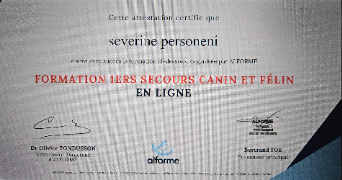 severine pet sitter à PARIS 18 75018_11