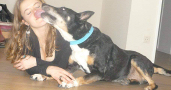 romane pet sitter à CHARTRES DE BRETAGNE 35131_1