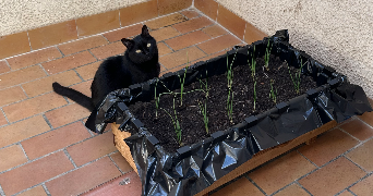 lou pet sitter à VERFEIL 31590_7
