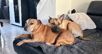 lisa pet sitter à PARIS 14 75014_1