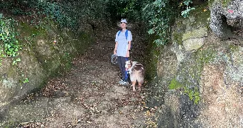 lise pet sitter à Auray 56400