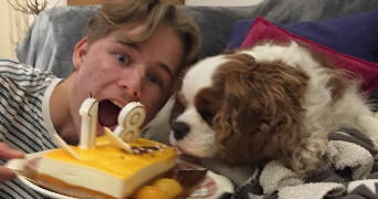ulysse pet sitter à LILLE 59000_2