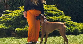 berenice pet sitter à METZ 57000_2