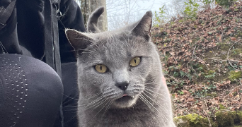 bénédicte pet sitter à Seytroux 74430_4