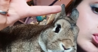 violette pet sitter à RENNES 35000_1