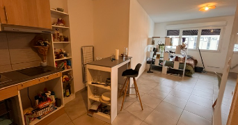 tessa pet sitter à MONTPELLIER 34090_3