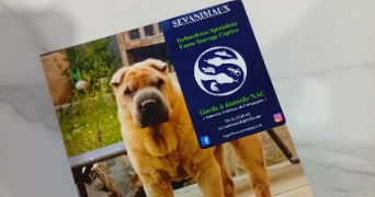 séverine pet sitter à COURCELLES CHAUSSY 57530_2