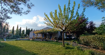 elsa pet sitter à TRETS 13530_2
