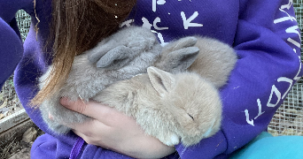 leya pet sitter à MONTPELLIER 34000_2