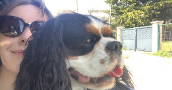 eva pet sitter à ANGERS 49100_0