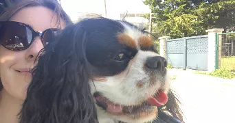 eva pet sitter à ANGERS 49100