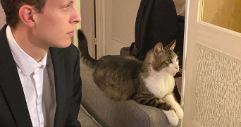 yanis pet sitter à COLOMBES 92700_1